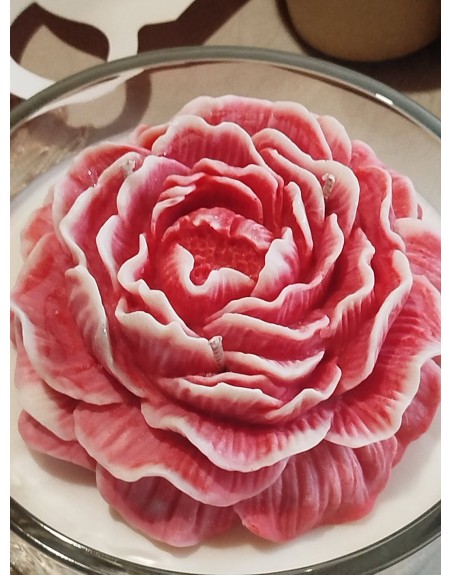 Bougie Pivoine XXL