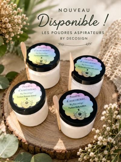 Poudre d'aspirateur